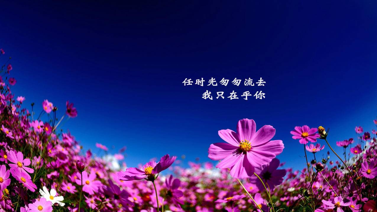 cf卡盟自助下单24小时-KS业务平台24小时秒单业务-抖音在线业务24小时最低价